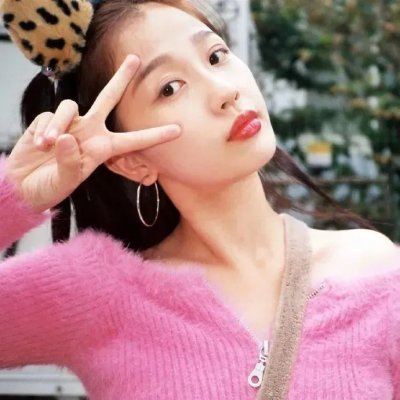 托梅斯的导盲犬